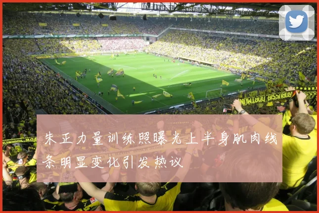 朱正力量训练照曝光上半身肌肉线条明显变化引发热议