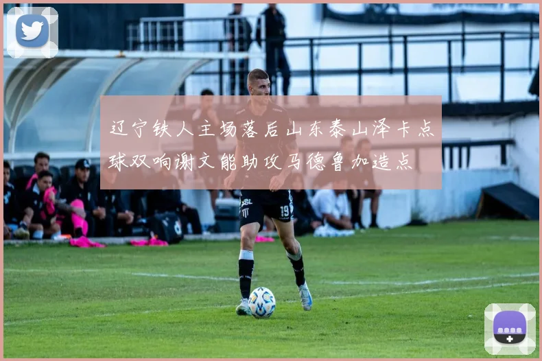 辽宁铁人主场落后山东泰山泽卡点球双响谢文能助攻马德鲁加造点